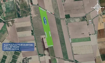 9_2933 | 14.40 HECTAREAS AGRÍCOLAS Ejido Suarez (Campo Gastelum y Cohuibampo), Ahome Sinaloa | INMOBILIARIA AHOME